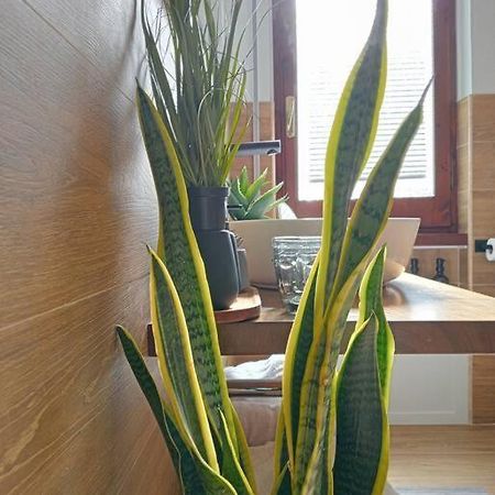 Dom Apartment Luxury Cagliari Luaran gambar